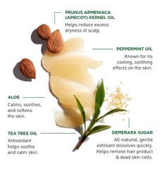 Exfoliating Scalp Scrub + Shampoo